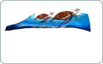 Sea Turtle painted palm frond-847